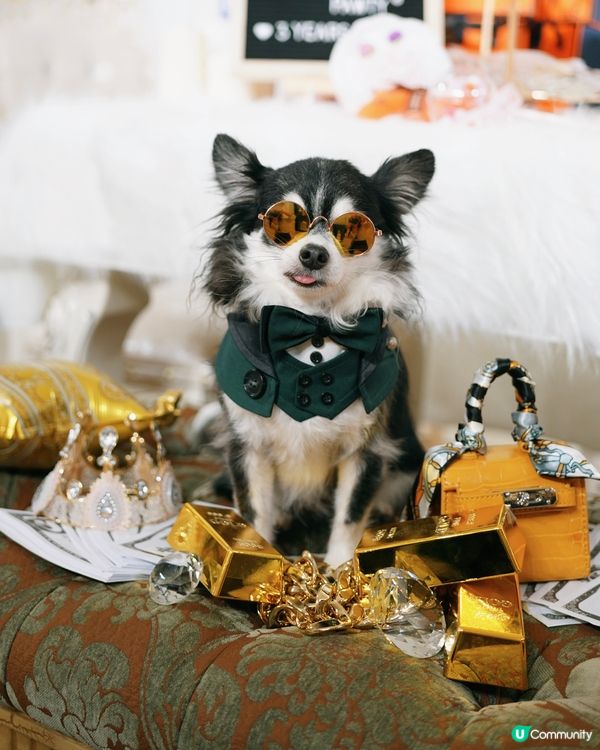 富豪飯局🥂💵💰