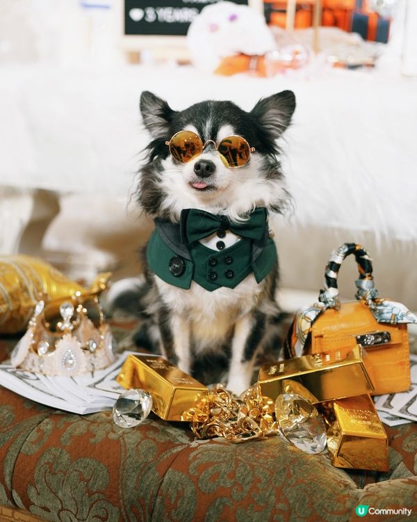 富豪飯局🥂💵💰