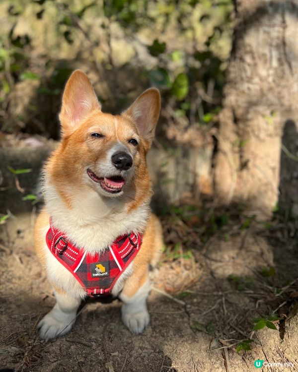 我最鐘意曬太陽 🌞