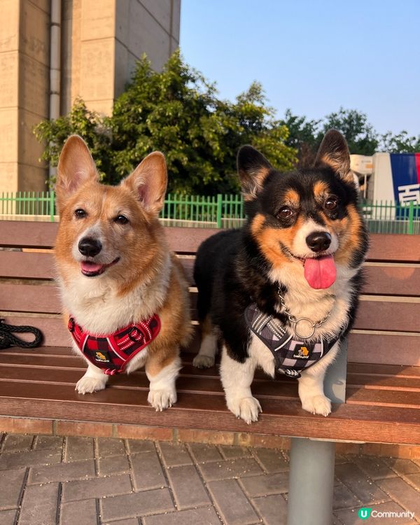 難得一齊望鏡頭呀 🥳