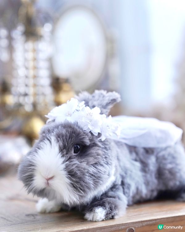 我結婚啦 👰‍♀️💍