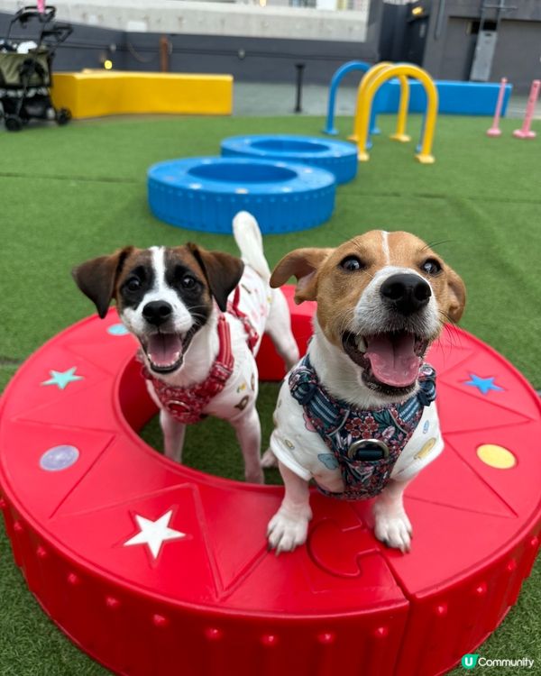 已經聽過Tufting好耐，一路都好想試😍我最想整珍珠奶茶嘅...