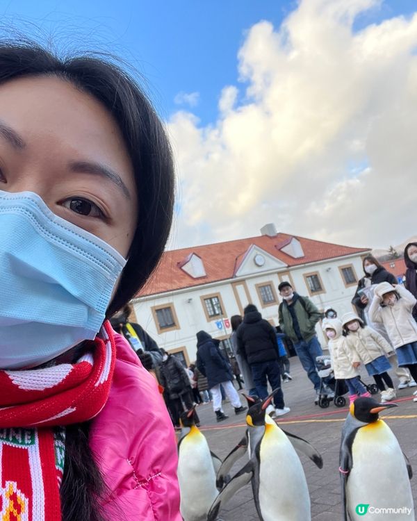 想於Tufting作品製作的圖案