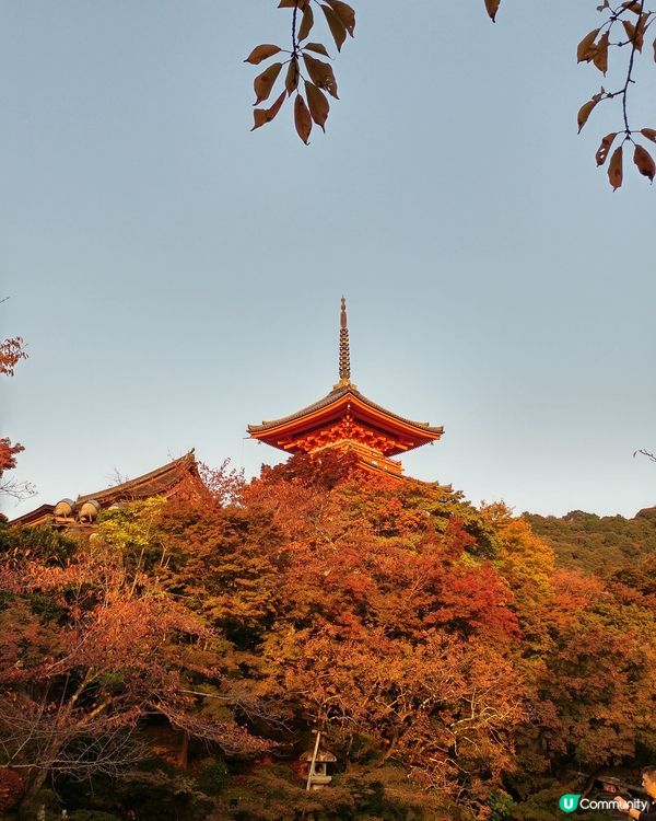 清水寺秋天限定景觀