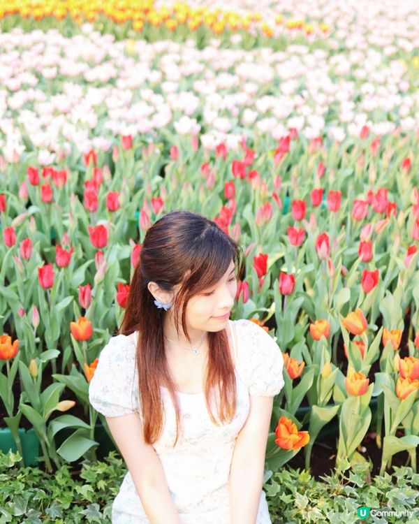 2023香港花卉展覽 打卡超靚📸