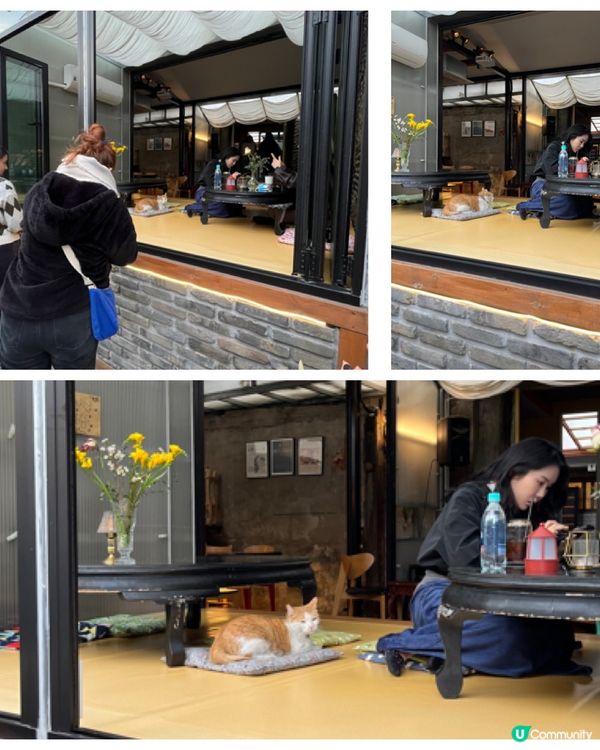 韓國人氣Cafe推介｜ 益善洞竹林深處韓屋cafe😍