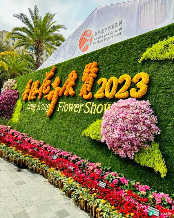 香港花卉展覽