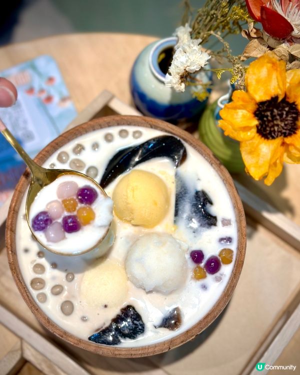 🐻「杏」福就係咁簡單💕