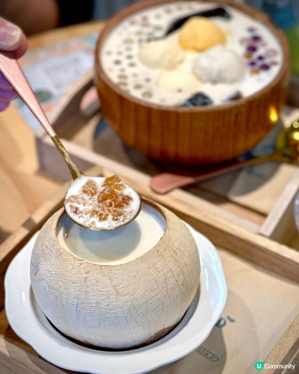 🐻「杏」福就係咁簡單💕