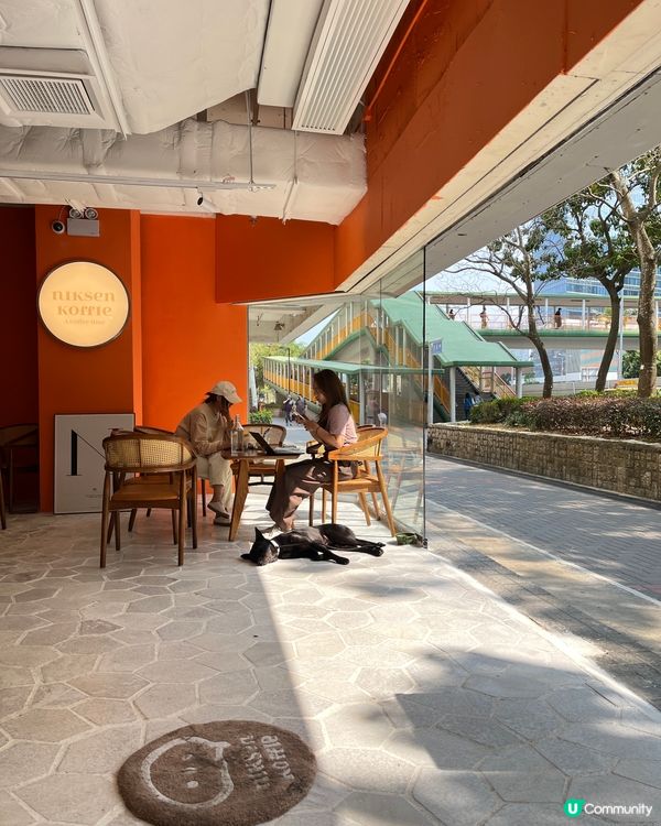 紅磡區文青pet friendly餐廳🐽🐝