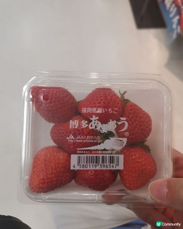 好掛住日本呢，其實只係回左港一個月時間都未夠，旅行成癮，又唔...