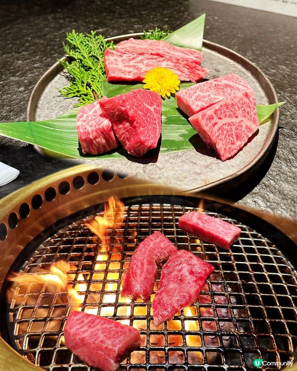 🎌高質日本燒肉🐮