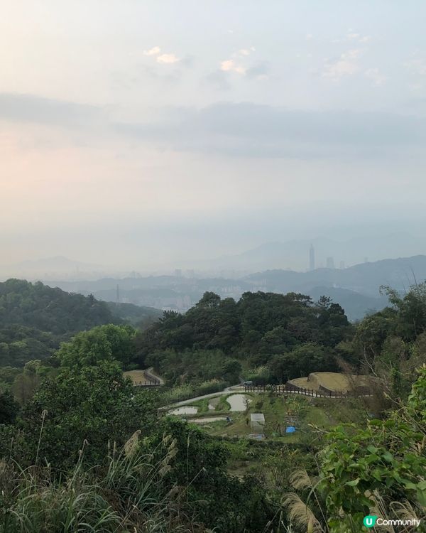 貓空纜車🚡動物園