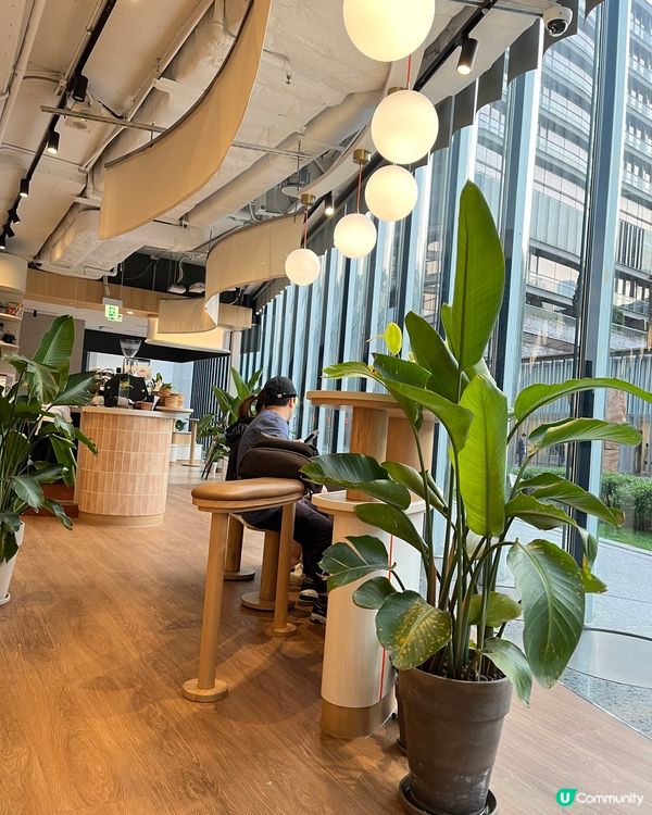 K11 musea 清幽日式木系寵物友善餐廳🐽🐝