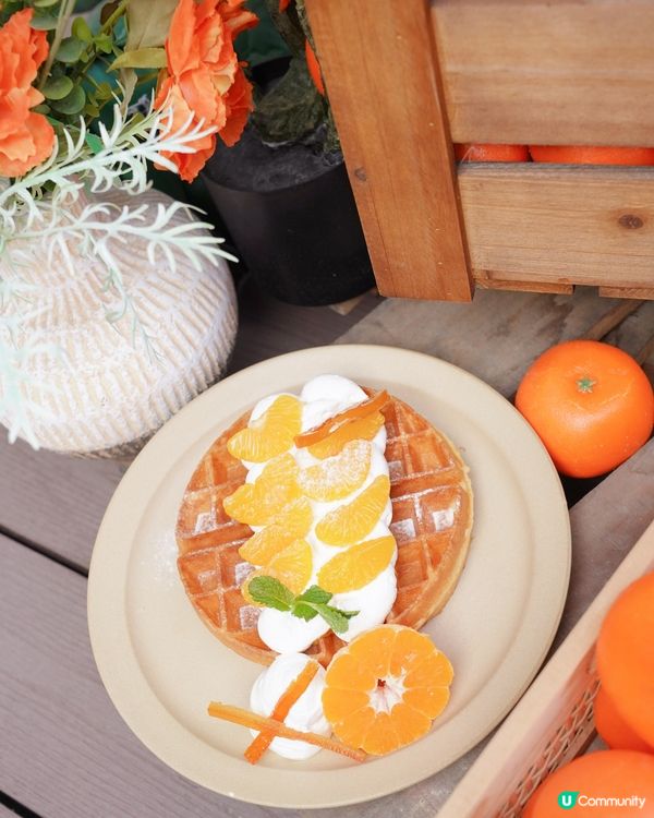 済州みかん丸ごとで超癒し🍊