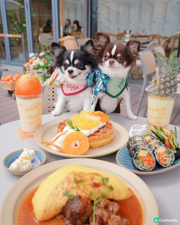 済州みかん丸ごとで超癒し🍊