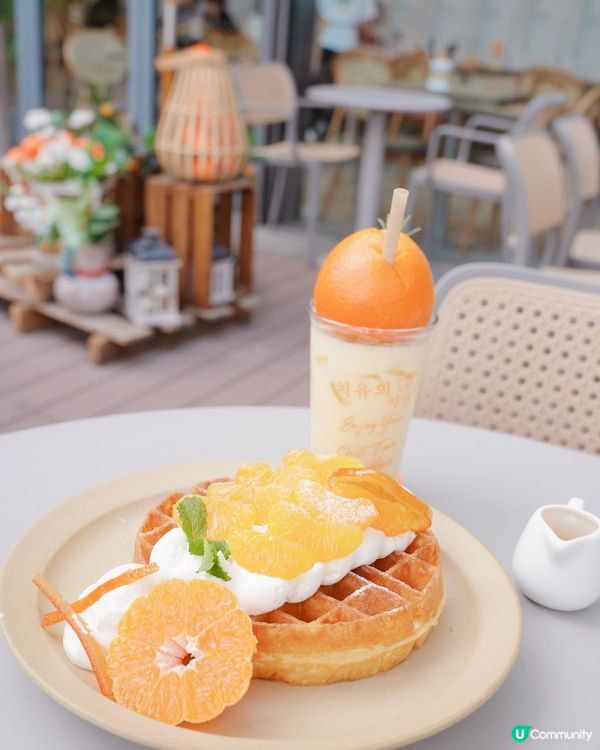 済州みかん丸ごとで超癒し🍊