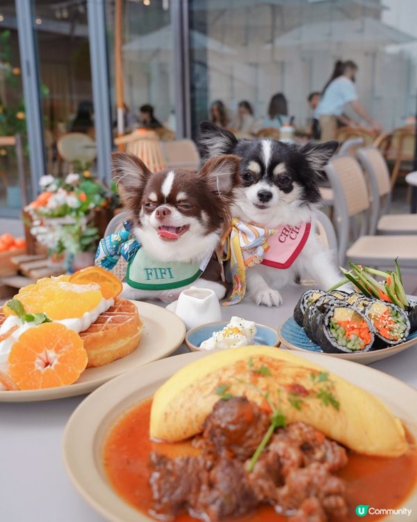 済州みかん丸ごとで超癒し🍊