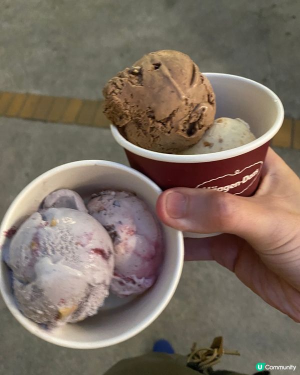 哈根大師哲學時間