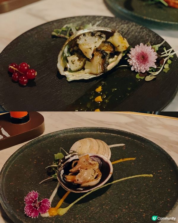 【尖沙咀 ✦ 維港海景鐵板燒🏙️高質有氣氛之選！✨】