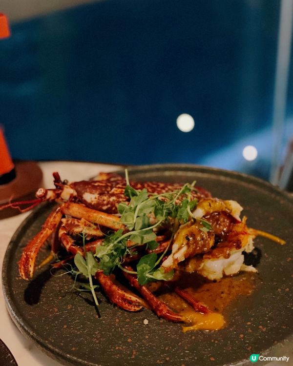 【尖沙咀 ✦ 維港海景鐵板燒🏙️高質有氣氛之選！✨】