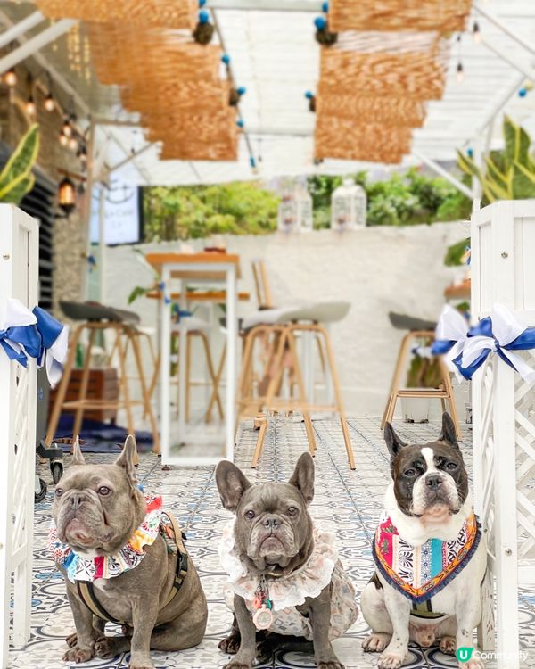 🇬🇷希臘cafe☕️