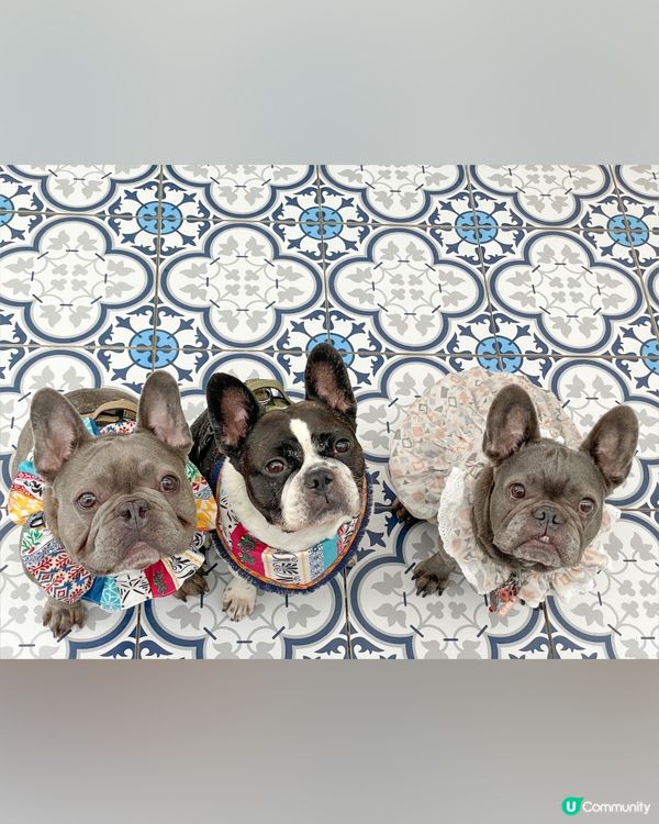 🇬🇷希臘cafe☕️