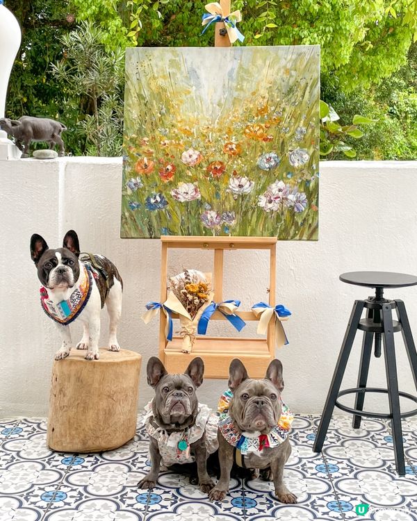 🇬🇷希臘cafe☕️