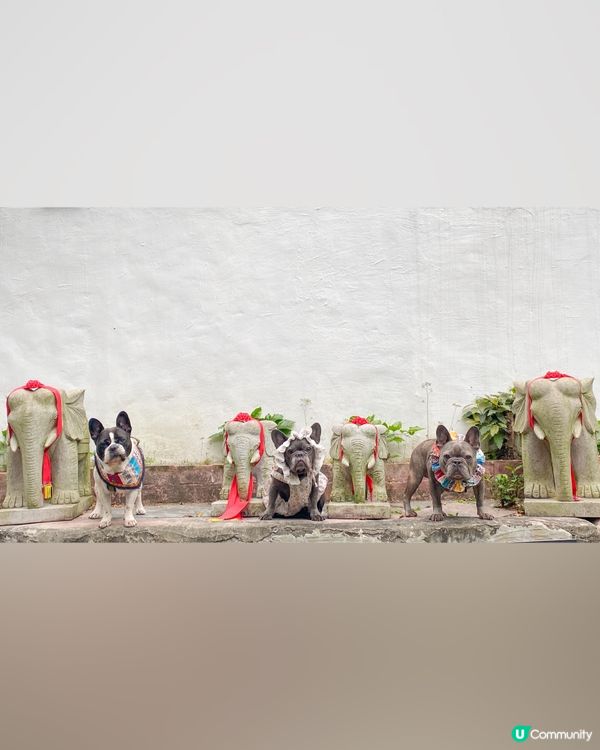 🇬🇷希臘cafe☕️