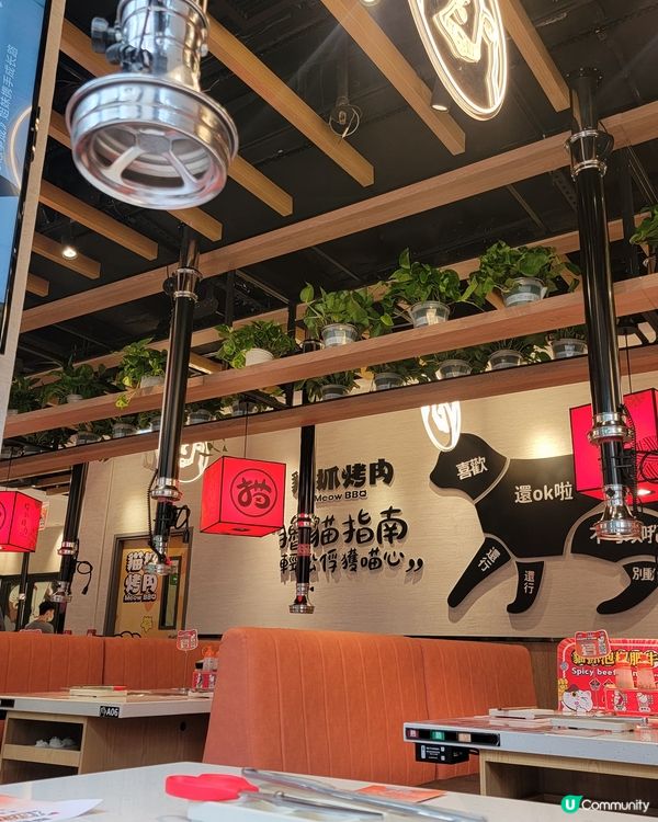 內地火紅之《貓抓烤肉》🐰