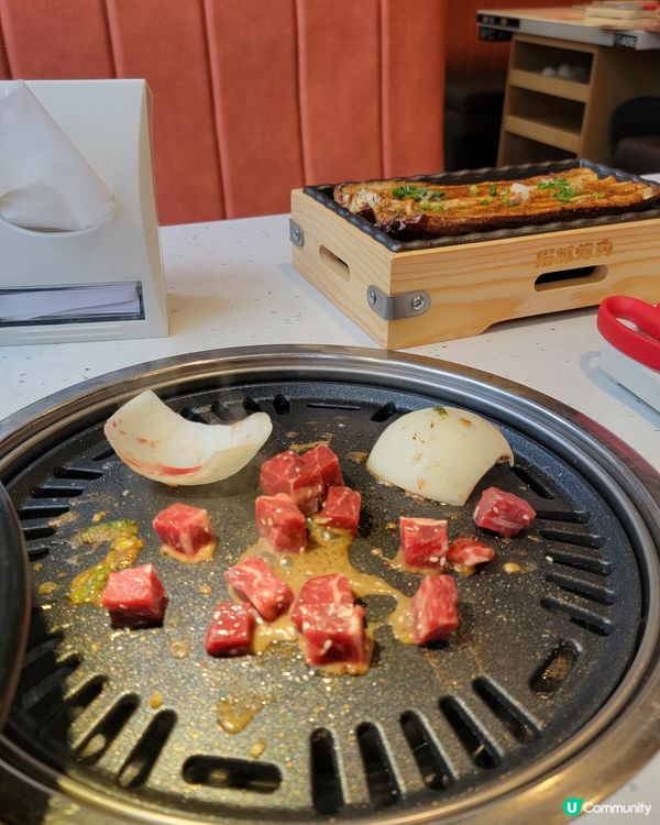 內地火紅之《貓抓烤肉》🐰