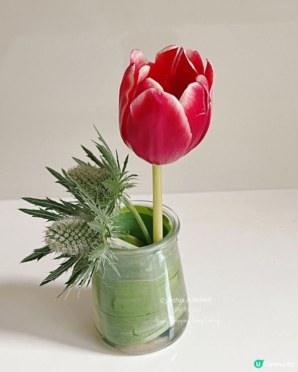 早晨，又係亂插一通😀