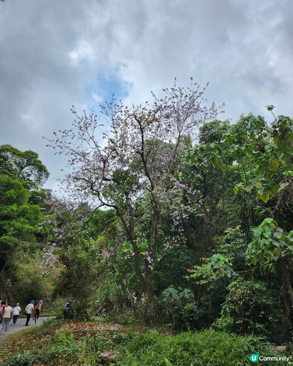 天空之鏡，清新之選