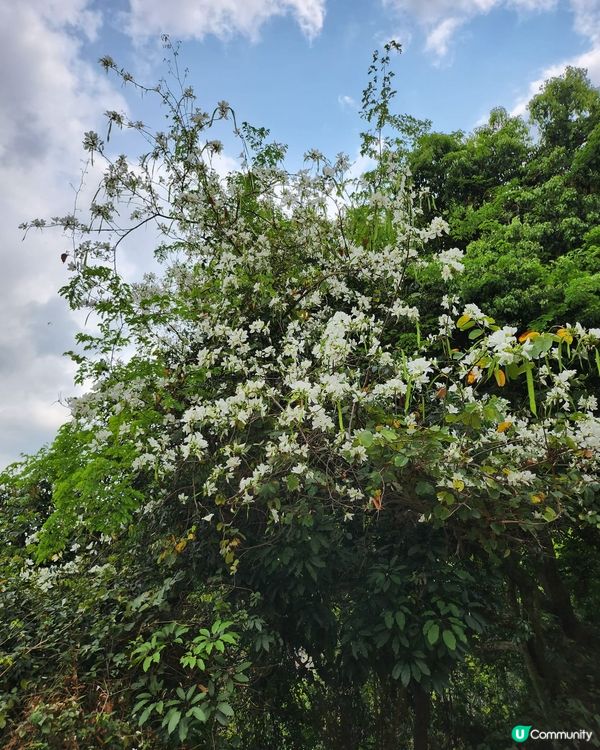 天空之鏡，清新之選