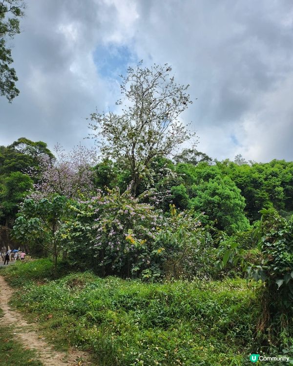 天空之鏡，清新之選