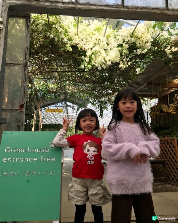 #沖繩深度遊の1 #老少咸宜 #沖縄東村國頭村一天遊 