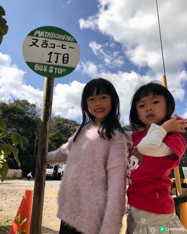 #沖繩深度遊の1 #老少咸宜 #沖縄東村國頭村一天遊 