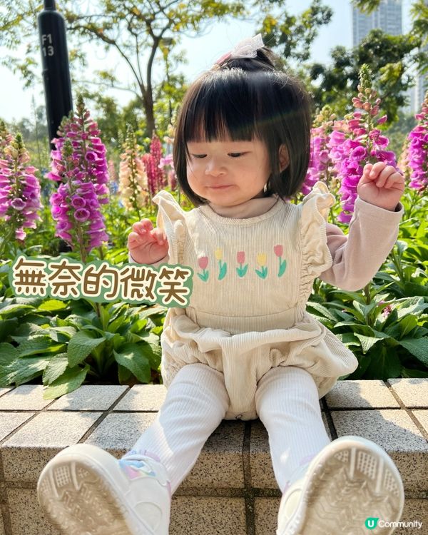 賞花🌸表情包Baybay👶🏻笑容篇