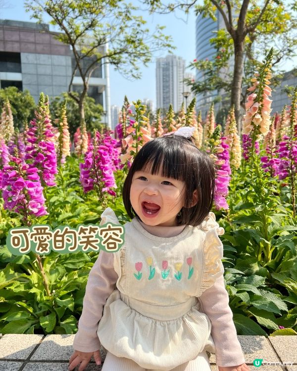 賞花🌸表情包Baybay👶🏻笑容篇
