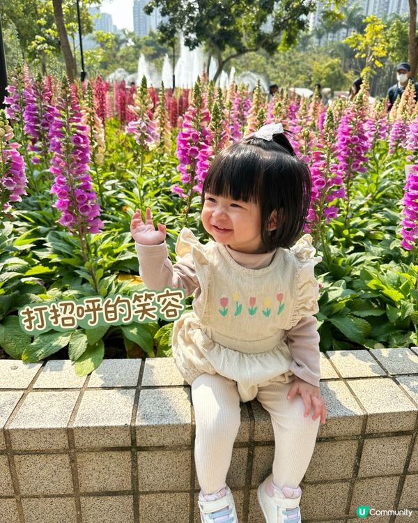 賞花🌸表情包Baybay👶🏻笑容篇