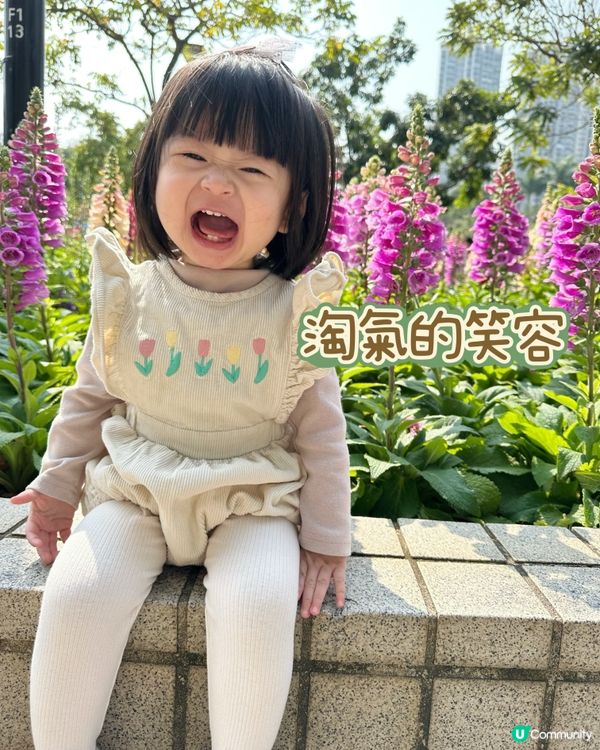 賞花🌸表情包Baybay👶🏻笑容篇