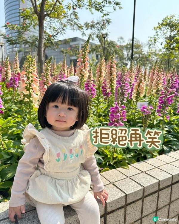 賞花🌸表情包Baybay👶🏻笑容篇
