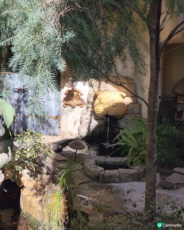 吉祥寺可愛貓貓村🐈‍⬛