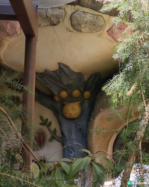 吉祥寺可愛貓貓村🐈‍⬛