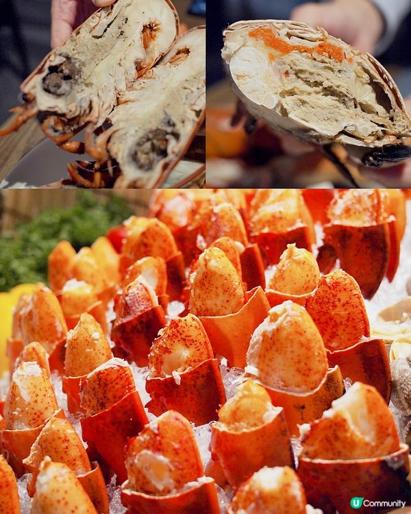 海鮮遇見飛驒牛の無敵盛宴🐻