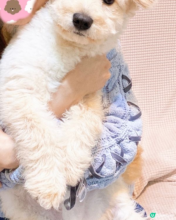 一攬住個樣就呆左😂