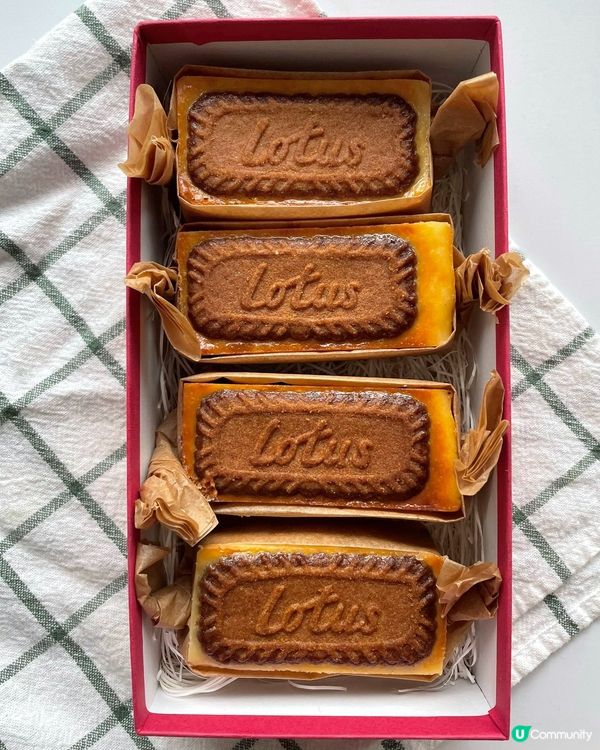 芝士蛋糕布朗尼🧀🍫