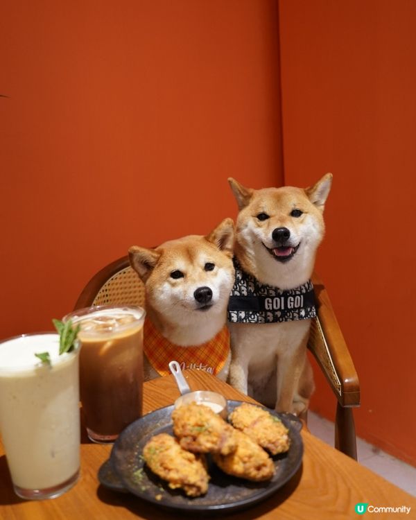 黃埔🧡橙𝒕𝒐𝒏𝒆 𝙘𝙖𝙛𝙚