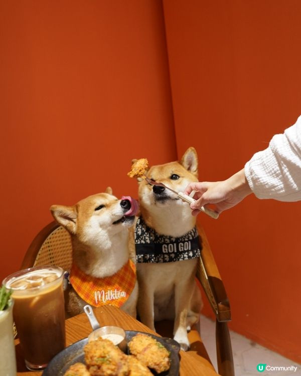 黃埔🧡橙𝒕𝒐𝒏𝒆 𝙘𝙖𝙛𝙚