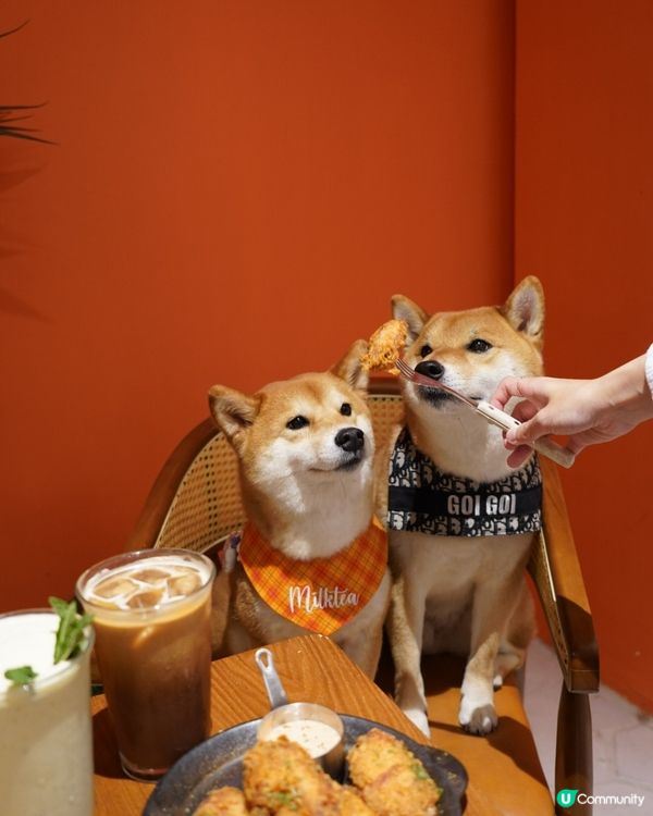 黃埔🧡橙𝒕𝒐𝒏𝒆 𝙘𝙖𝙛𝙚